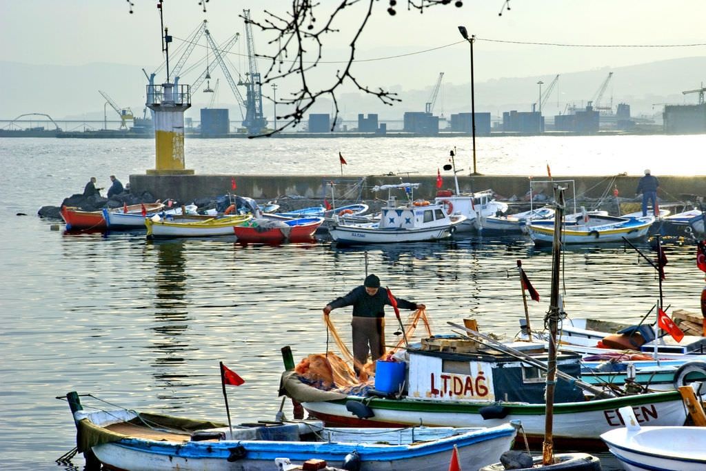 Hangi şehirde kaç tane AVM var? 47