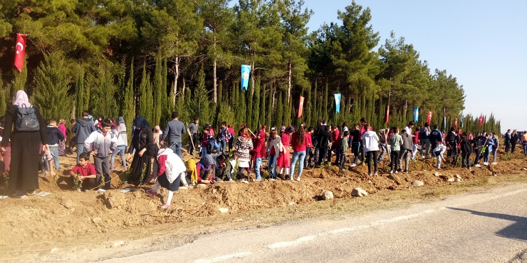 Peli Daha Yeşil Bir Türkiye İçin Fidan Dikti