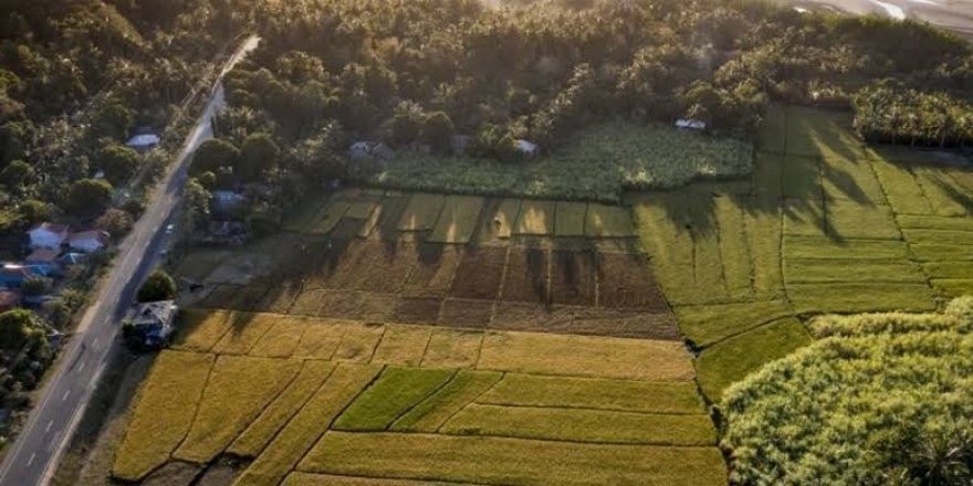 Milli Emlak’tan Kaçırılmayacak Fırsat!