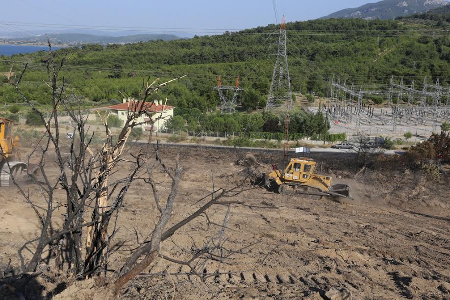 Yangında Zarar Gören Alanda Çalışmalar Başladı